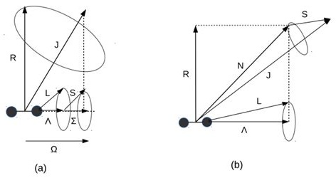 Hund’s cases (a) and (b) angular momentum vectors diagram